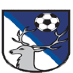 TJ Svitavy 2:1 FK Letohrad