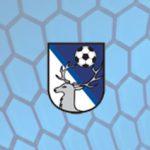 FK Letohrad - Hlinsko 1 : 2 